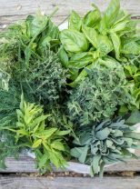 fresh+herbs