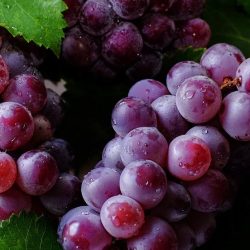 grapes